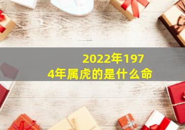 2022年1974年属虎的是什么命