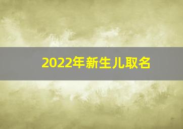 2022年新生儿取名