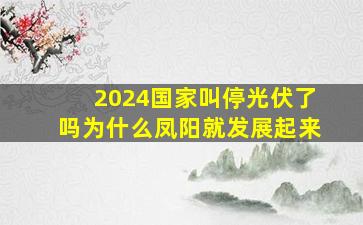 2024国家叫停光伏了吗为什么凤阳就发展起来