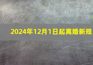 2024年12月1日起离婚新规