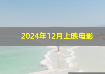 2024年12月上映电影