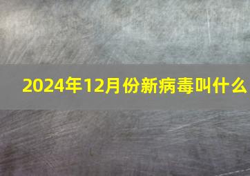 2024年12月份新病毒叫什么