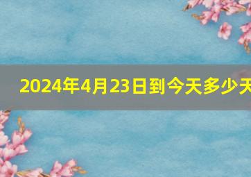 2024年4月23日到今天多少天