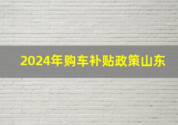 2024年购车补贴政策山东