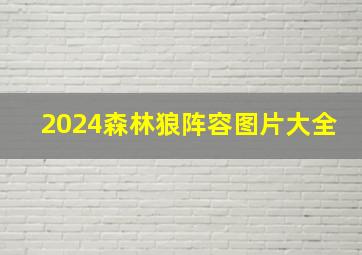 2024森林狼阵容图片大全