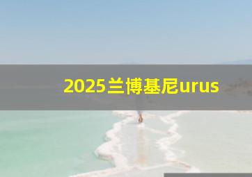 2025兰博基尼urus