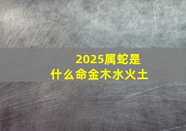 2025属蛇是什么命金木水火土