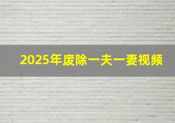 2025年废除一夫一妻视频