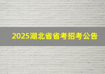 2025湖北省省考招考公告