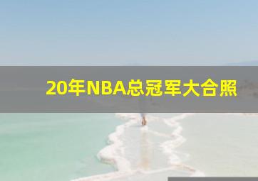 20年NBA总冠军大合照