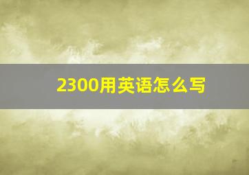 2300用英语怎么写