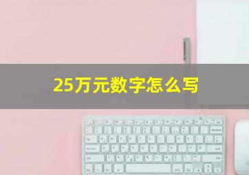 25万元数字怎么写