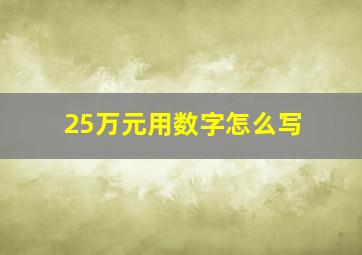 25万元用数字怎么写