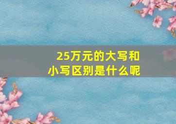 25万元的大写和小写区别是什么呢