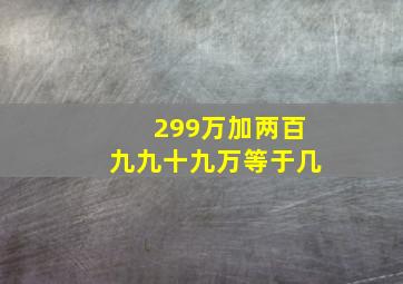 299万加两百九九十九万等于几