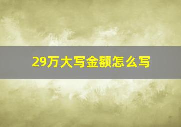 29万大写金额怎么写