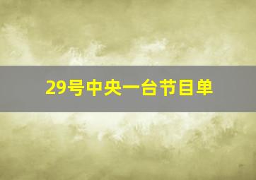 29号中央一台节目单