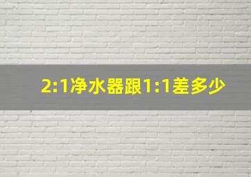 2:1净水器跟1:1差多少