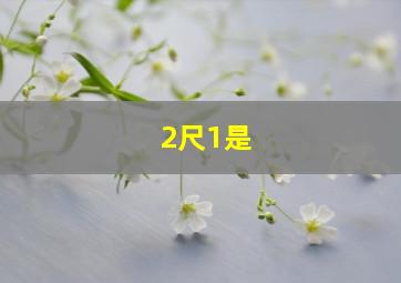 2尺1是