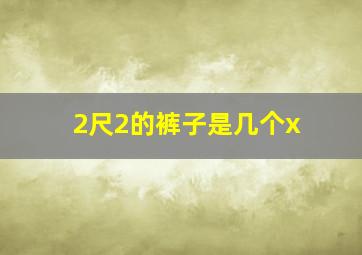 2尺2的裤子是几个x