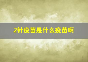 2针疫苗是什么疫苗啊