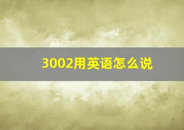 3002用英语怎么说