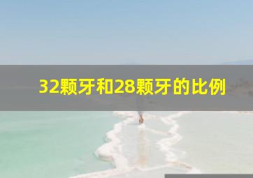 32颗牙和28颗牙的比例