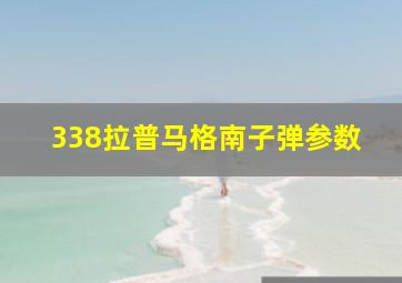 338拉普马格南子弹参数