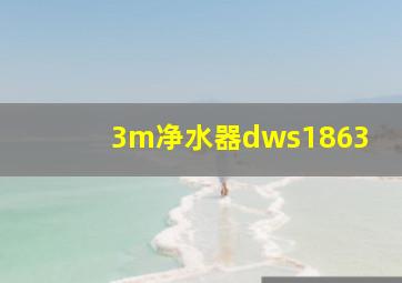 3m净水器dws1863