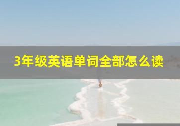 3年级英语单词全部怎么读