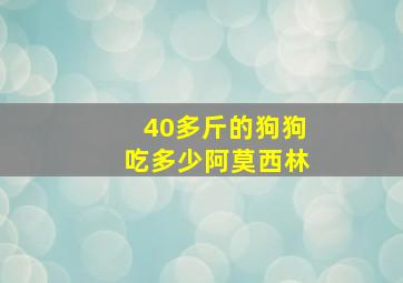 40多斤的狗狗吃多少阿莫西林