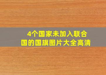 4个国家未加入联合国的国旗图片大全高清