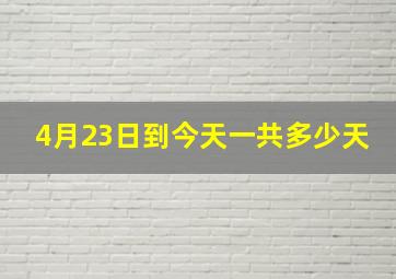 4月23日到今天一共多少天