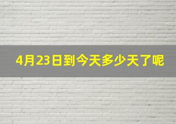 4月23日到今天多少天了呢