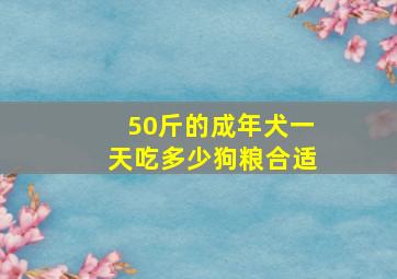 50斤的成年犬一天吃多少狗粮合适