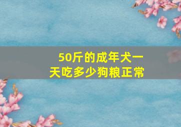 50斤的成年犬一天吃多少狗粮正常