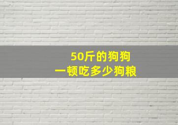 50斤的狗狗一顿吃多少狗粮