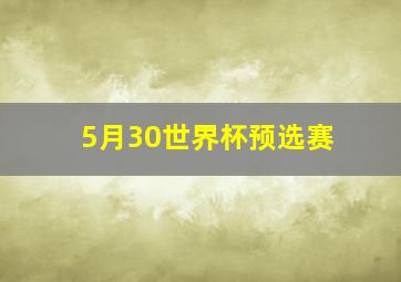 5月30世界杯预选赛