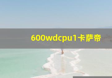 600wdcpu1卡萨帝