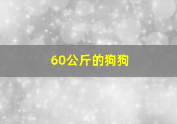 60公斤的狗狗