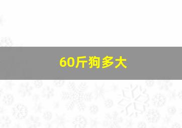 60斤狗多大