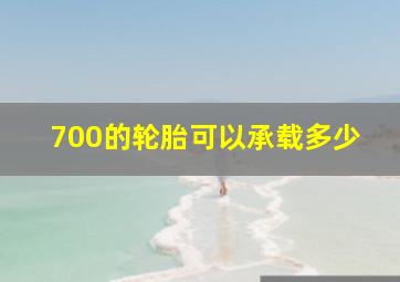 700的轮胎可以承载多少