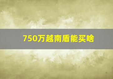 750万越南盾能买啥