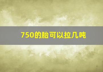 750的胎可以拉几吨