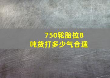 750轮胎拉8吨货打多少气合适