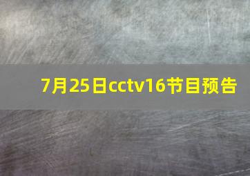 7月25日cctv16节目预告