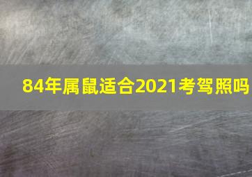 84年属鼠适合2021考驾照吗