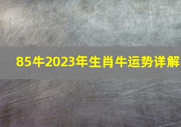 85牛2023年生肖牛运势详解