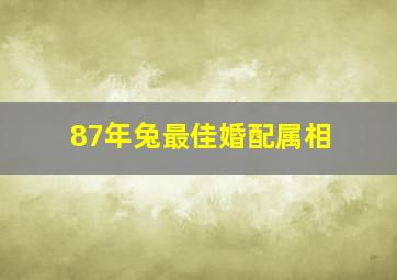 87年兔最佳婚配属相