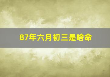 87年六月初三是啥命